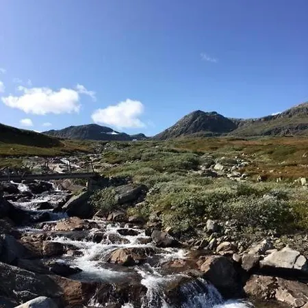 Actif 305 By Al Center