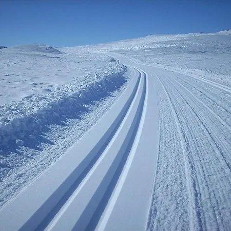 Actif 305 By Al Center *